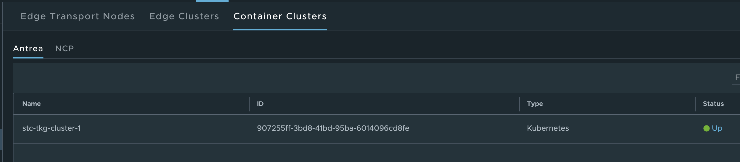 container-cluster-nsx