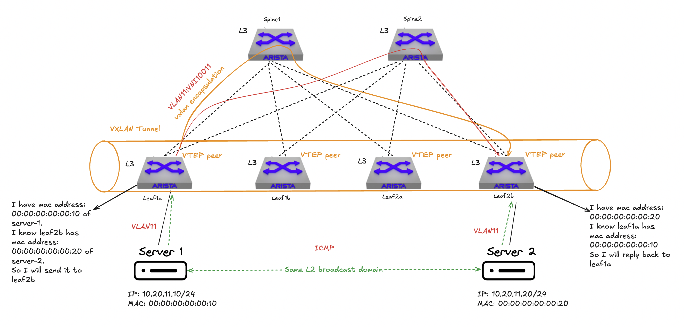 bgp-evpn-table